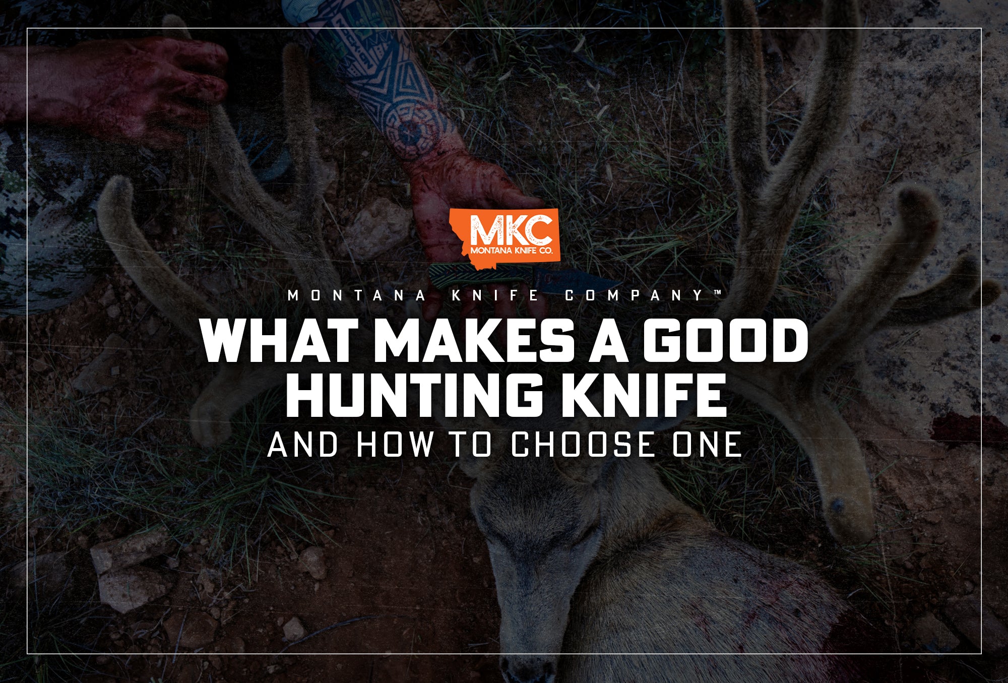 What Makes a Good Hunting Knife? (And How to Choose One)