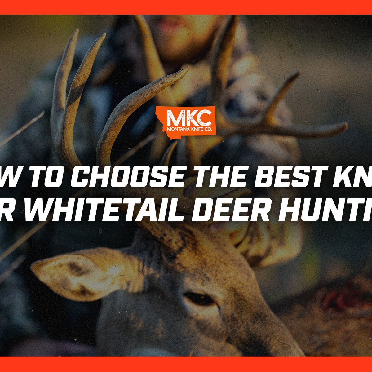 https://www.montanaknifecompany.com/cdn/shop/articles/BEST-WHITETAIL-HUNTING-KNIFE_1200x1200_crop_center.jpg?v=1696011854