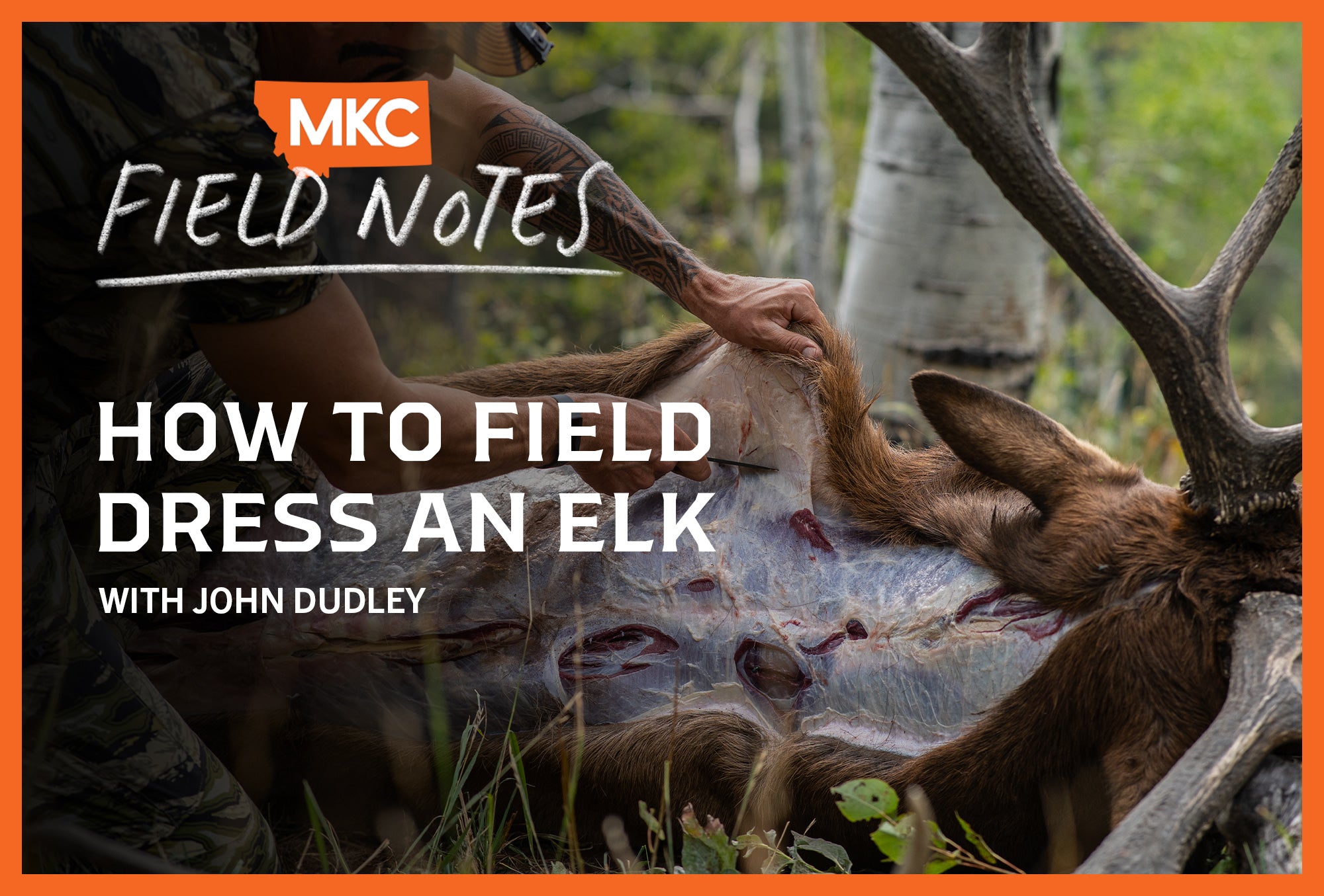 A hunter skinning an elk in the wild with an overlay saying “How to Field Dress an Elk, With John Dudley"