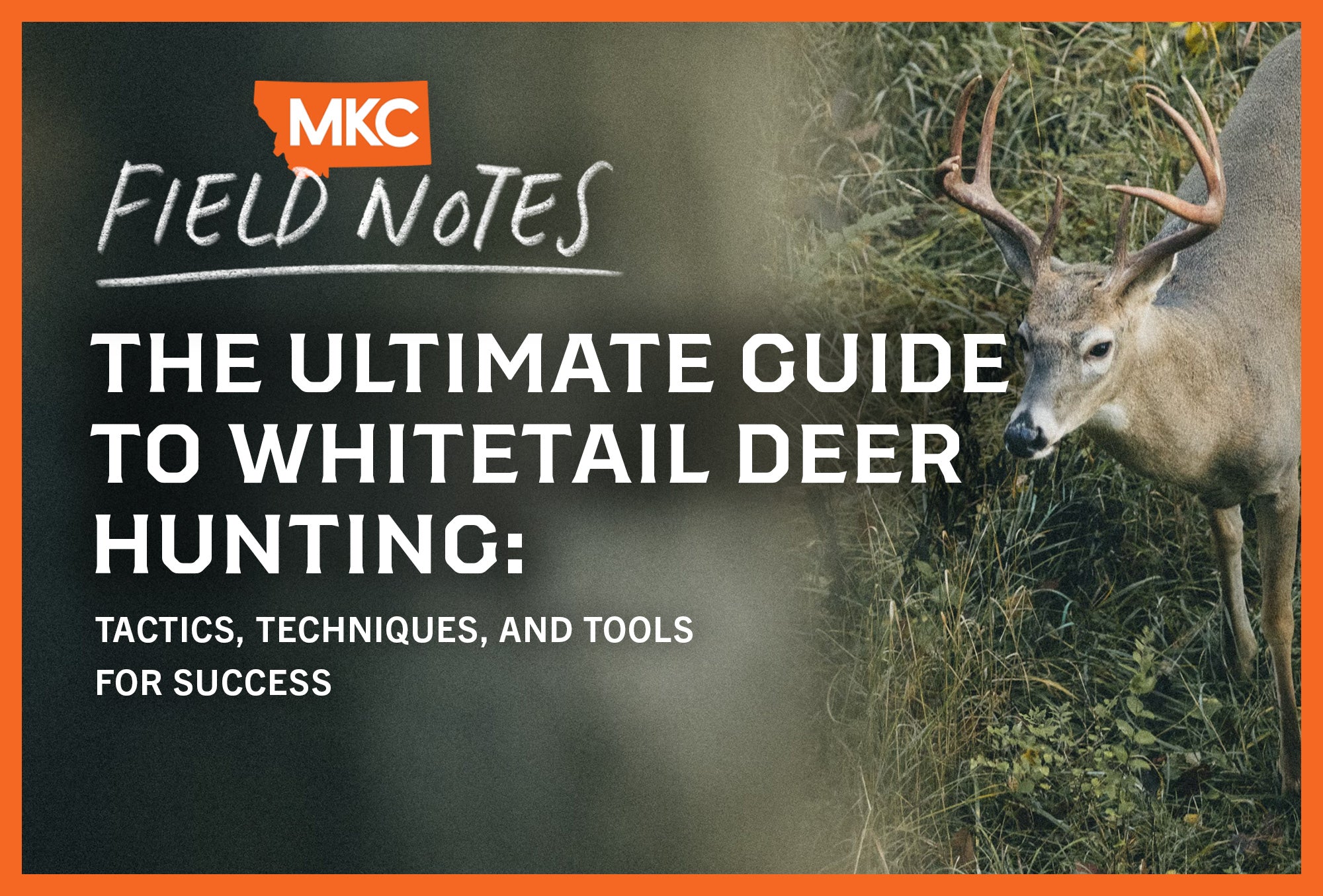 The Ultimate Guide To Whitetail Deer Hunting: Tactics, Techniques, And 